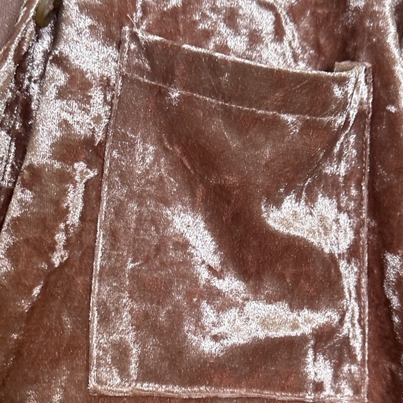 Mystree Velvet Button-Down Shirt in Pink - Picture 5 of 5